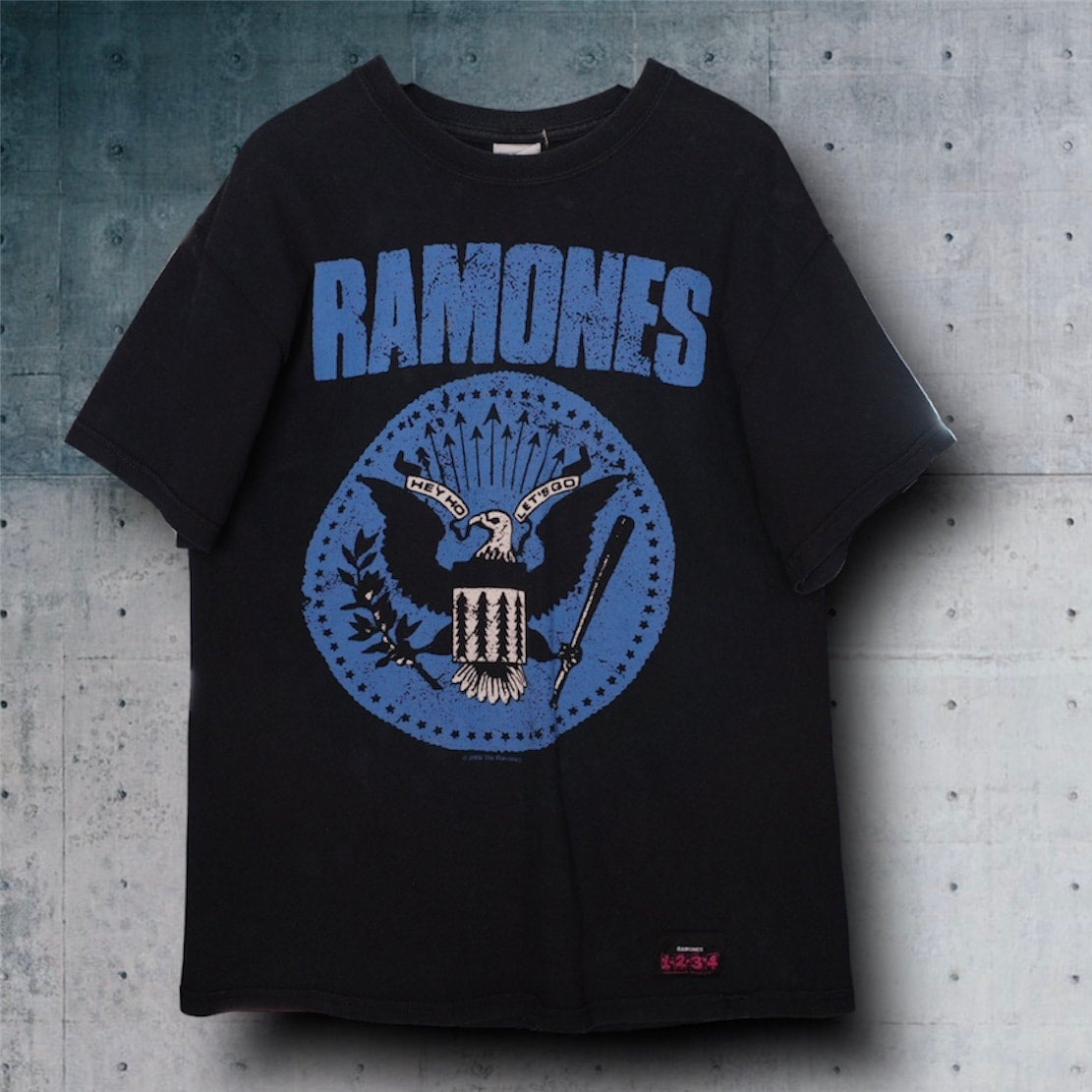 レアカラー　RAMONES Tシャツ　水色　パンク　ロック　ラモーンズ バンド ロック Tシャツ カタカナ RAMONES ラモーンズ 水色 : T
