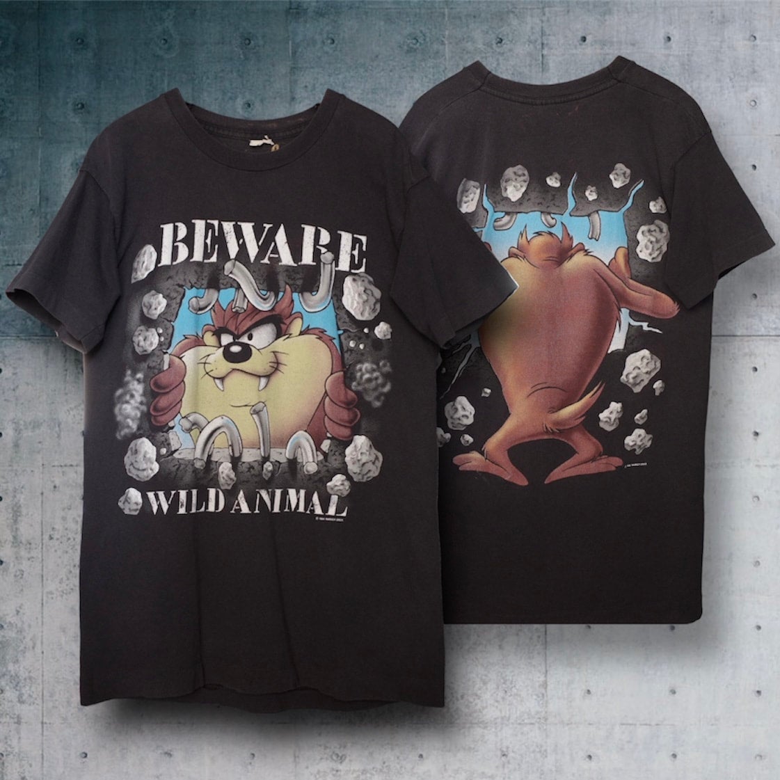 90sルーニーlooneyダウン中綿ビンテージ古着アメキャラタズ